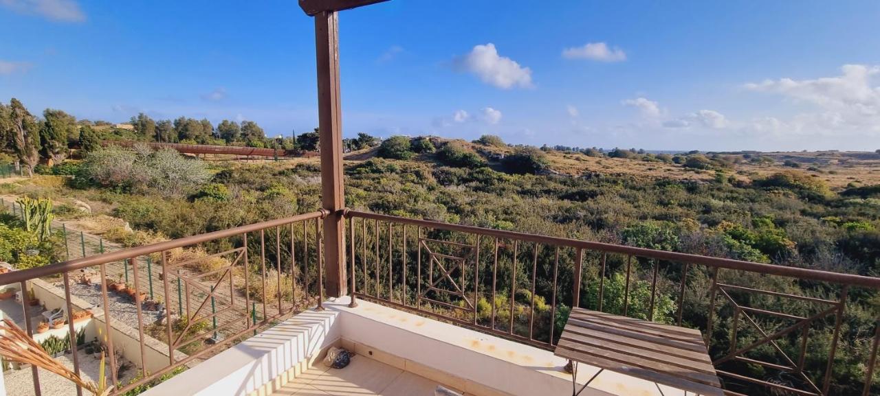 Ancient Paphos - Cozy Place Next To The Sea, Marina, Historical Sites, Buses, Mall, And Market Экстерьер фото